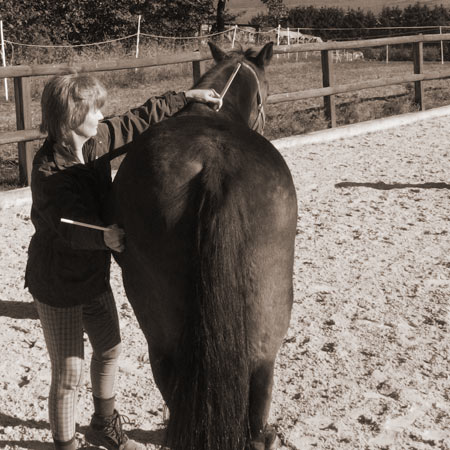 Osteopathische Behandlung